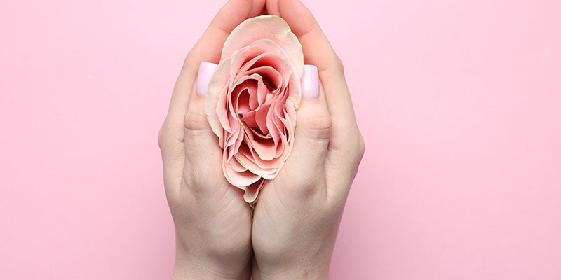 Cupped hands hold a pink rosebud against a pink background.